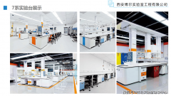 做为扎根西安、办事西北的专业机