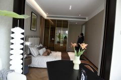 起首映入眼皮的是典雅精美气概